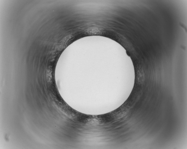 X0000103490259200810101030
