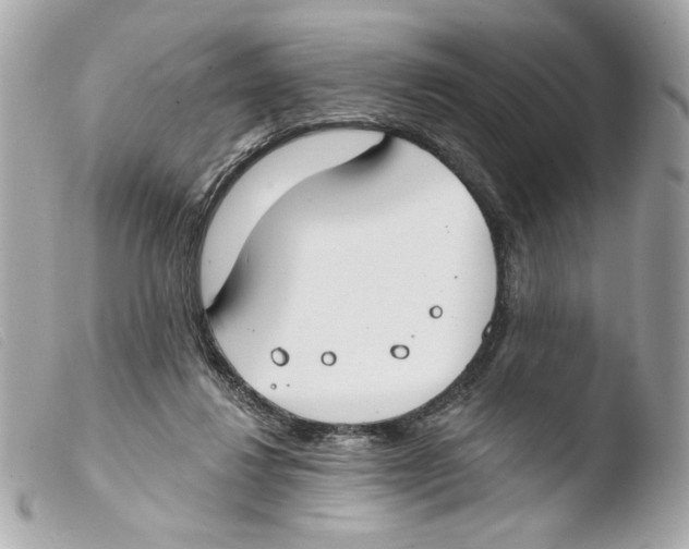 X0000103490260200810101030