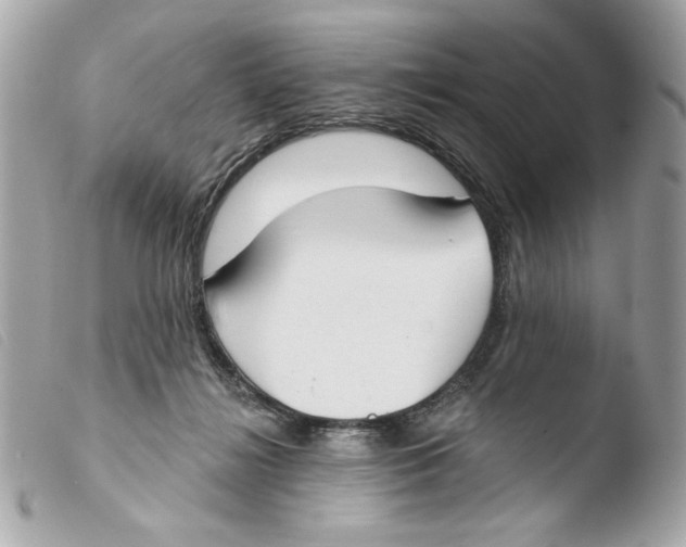 X0000103490268200810101030