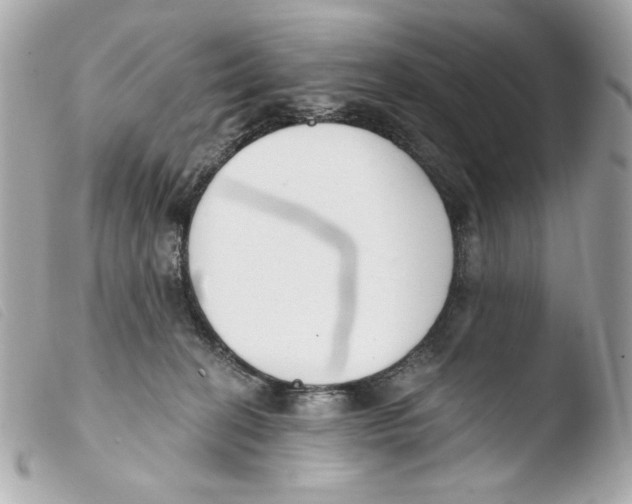 X0000103490274200810101030