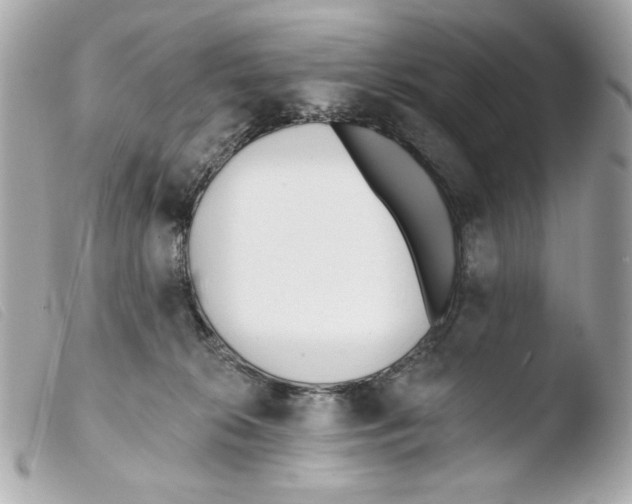 X0000103490276200810101030