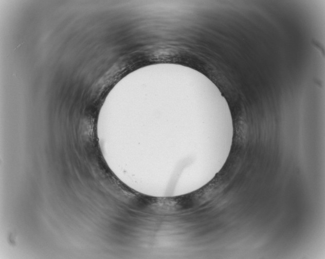 X0000103490278200810101030