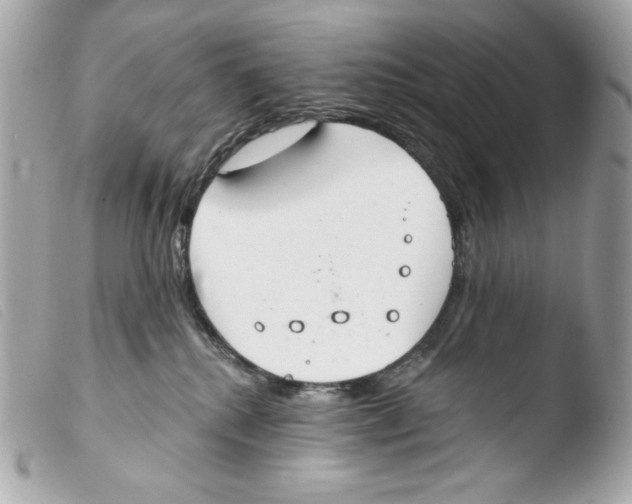 X0000103490280200810101030