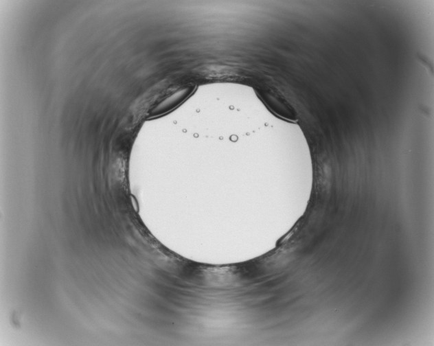 X0000103490281200810101030