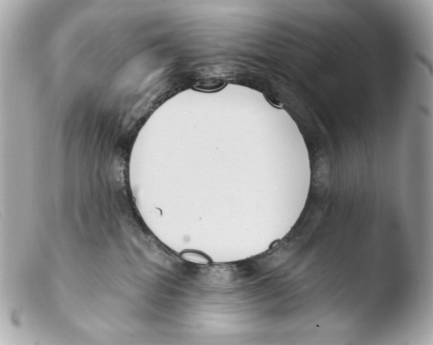 X0000103490282200810101030