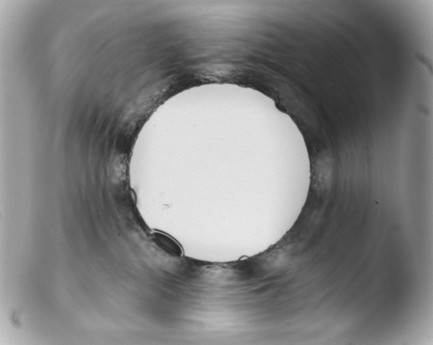 X0000103490284200810101030