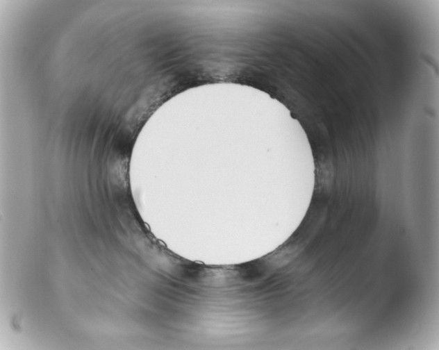 X0000103490286200810101030
