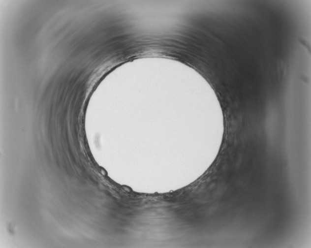 X0000103490289200810101030