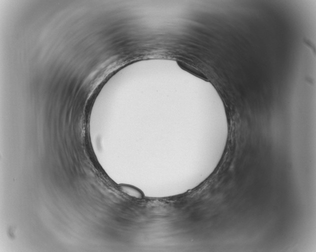 X0000103490290200810101030
