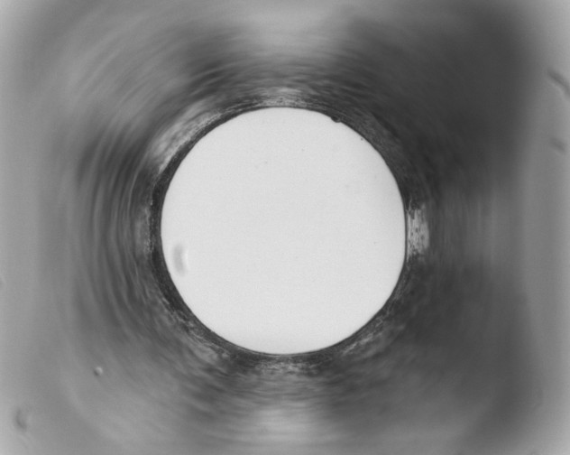 X0000103490291200810101030