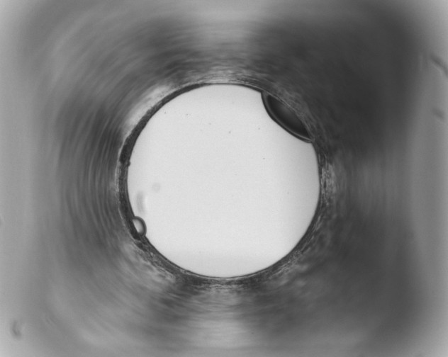 X0000103490292200810101029