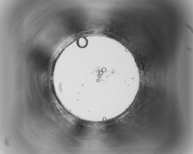 X0000103490293200810101029