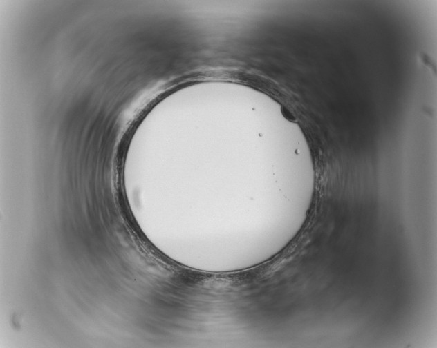 X0000103490294200810101029
