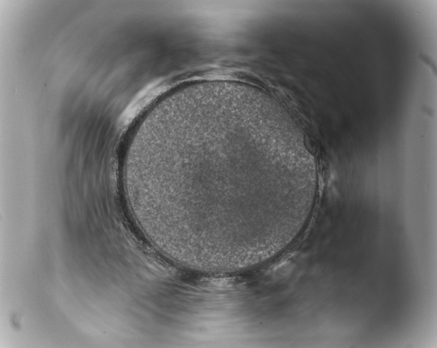 X0000103490295200810101029