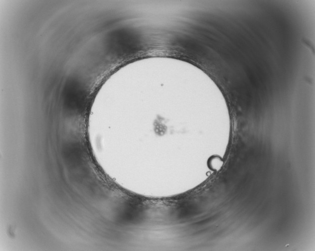 X0000103490297200810101029