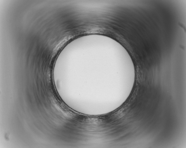 X0000103490298200810101029
