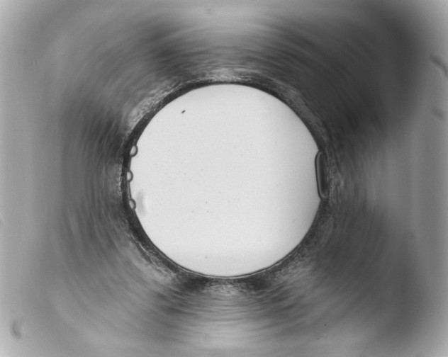X0000103490299200810101029