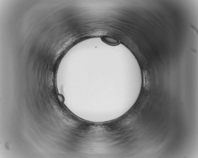 X0000103490300200810101029