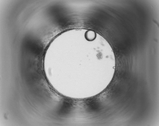 X0000103490301200810101029