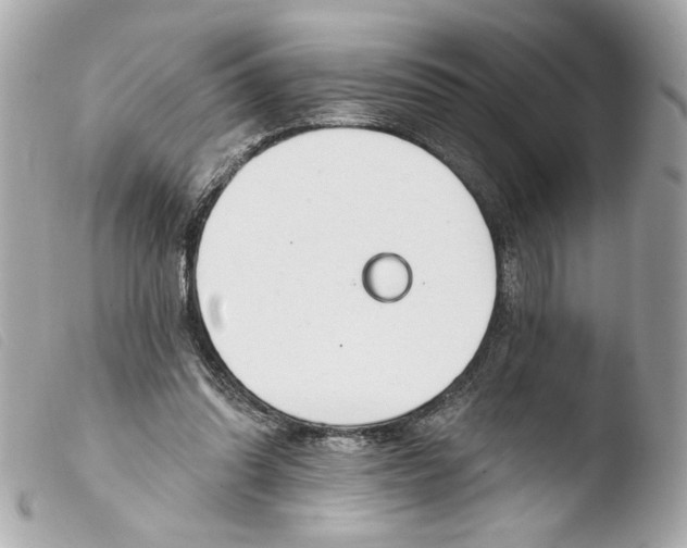 X0000103490302200810101029
