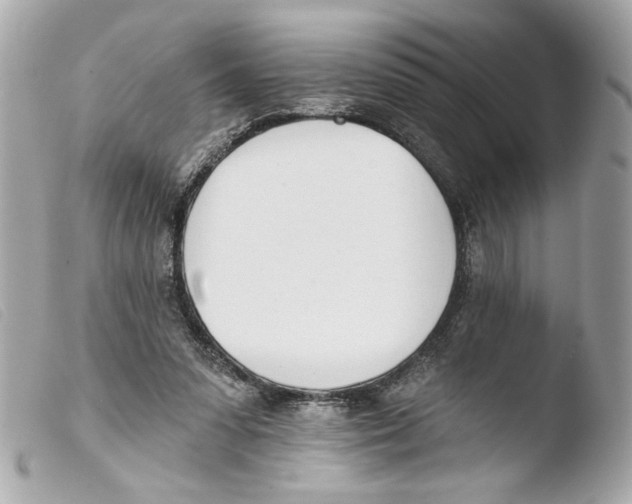 X0000103490303200810101029