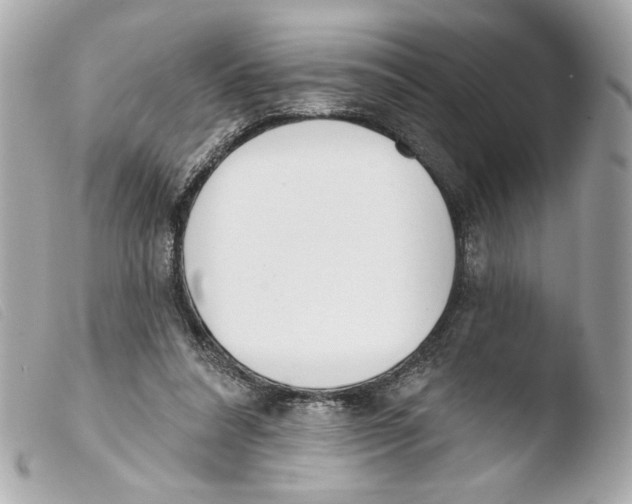 X0000103490304200810101029