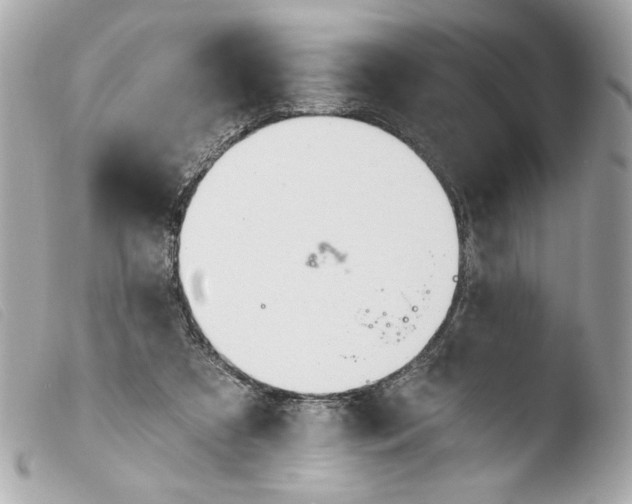 X0000103490305200810101029