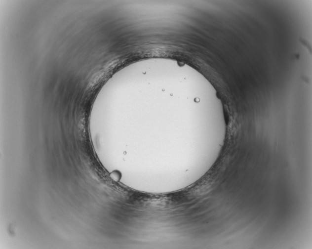 X0000103490306200810101029
