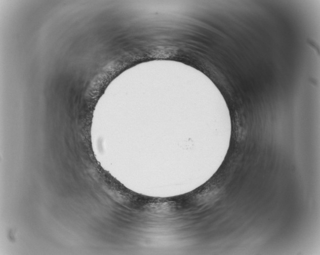 X0000103490307200810101029