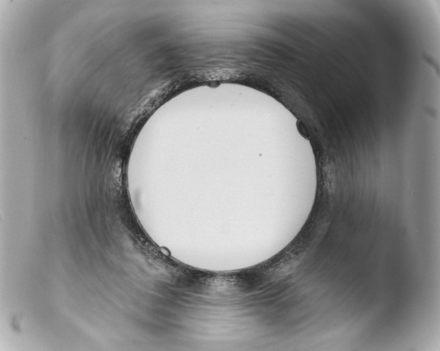 X0000103490308200810101029