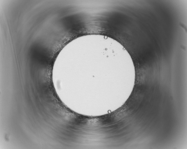 X0000103490309200810101029