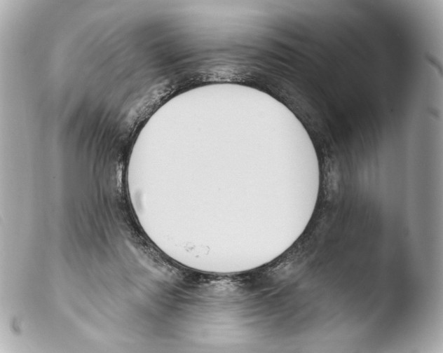 X0000103490310200810101029