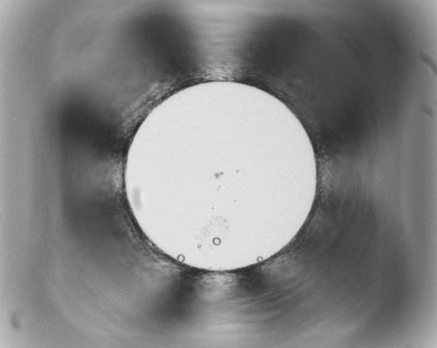 X0000103490313200810101029