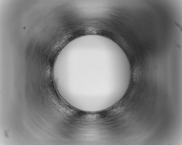 X0000103490314200810101029