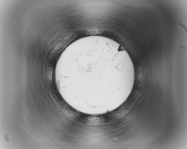 X0000103490315200810101029