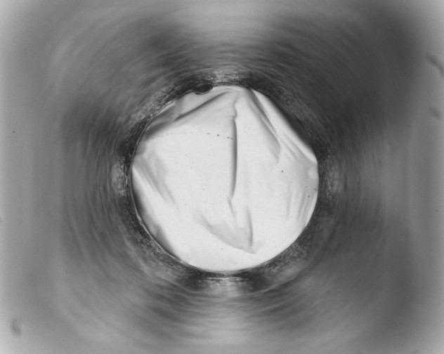 X0000103490316200810101029