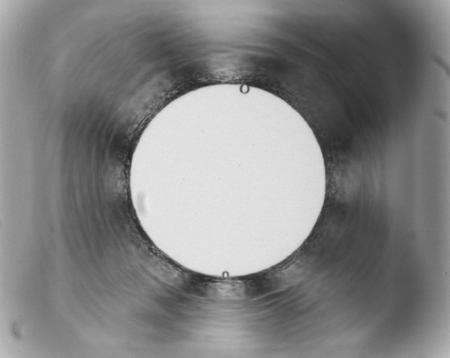 X0000103490317200810101029