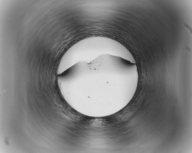 X0000103490320200810101029