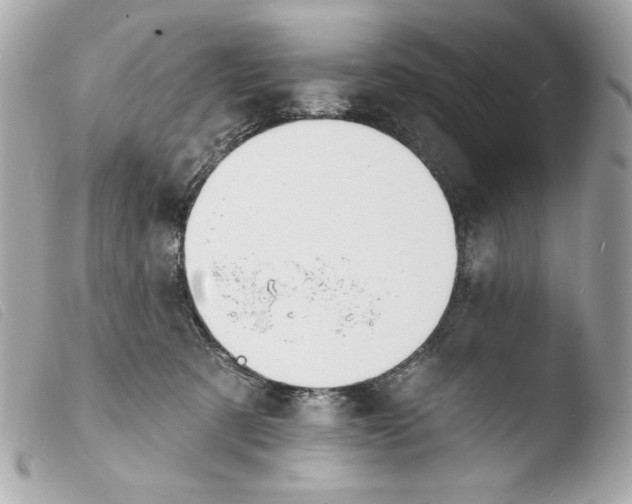 X0000103490321200810101029