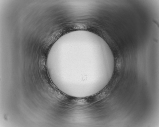 X0000103490322200810101029