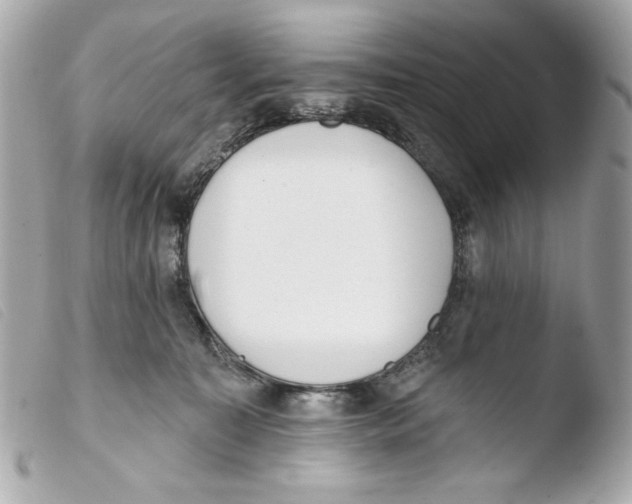 X0000103490323200810101029