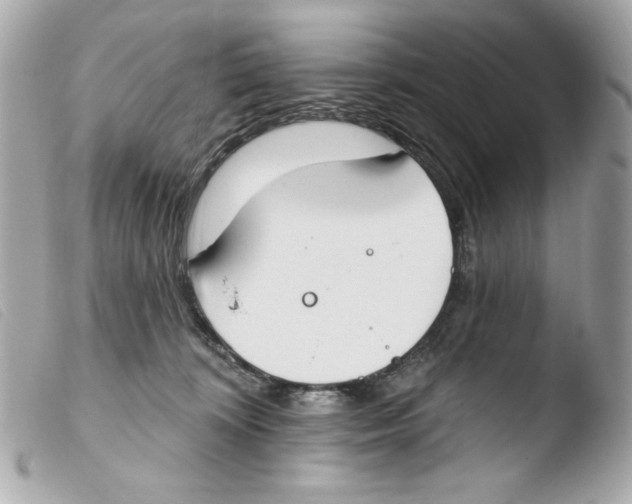 X0000103490324200810101029