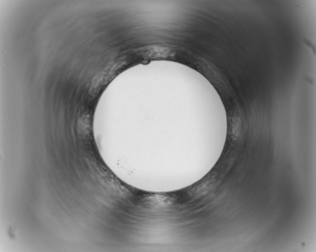 X0000103490326200810101029