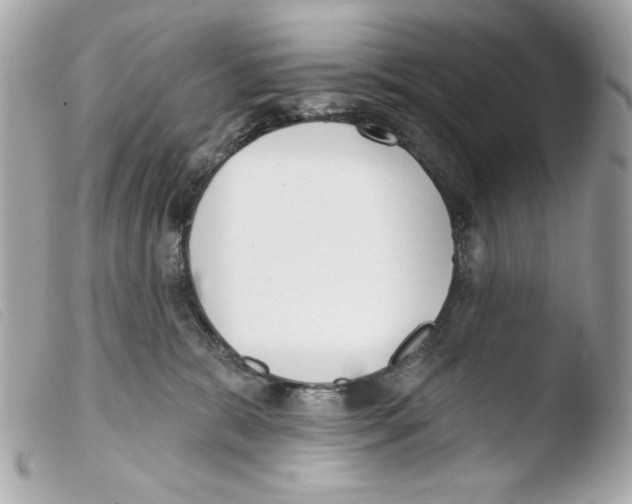 X0000103490327200810101029