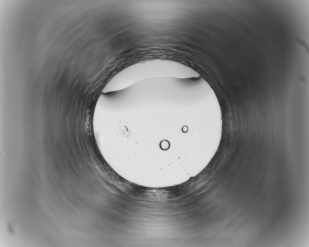 X0000103490328200810101029