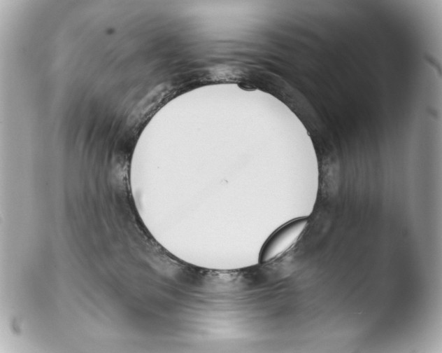 X0000103490329200810101029