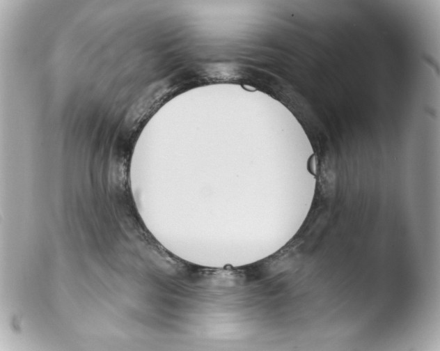 X0000103490330200810101029