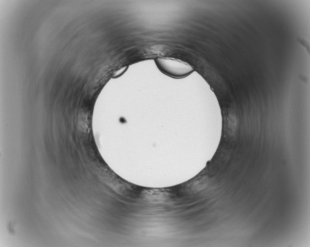 X0000103490331200810101029
