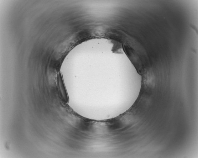 X0000103490332200810101029