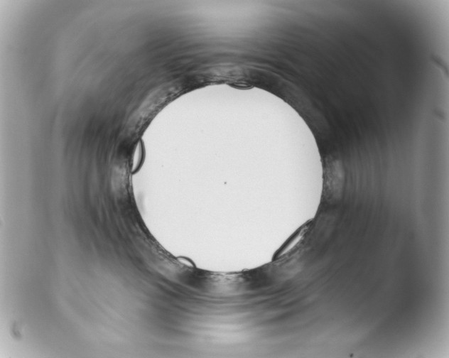 X0000103490333200810101029